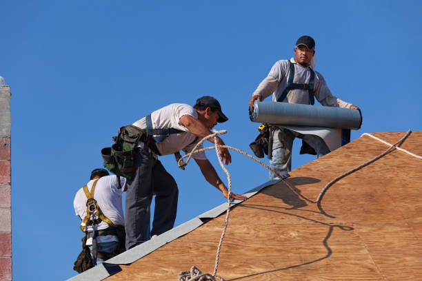 Best Roof Gutter Cleaning  in Hammond, WI