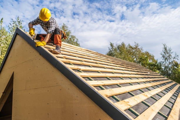 Best Roof Gutter Cleaning  in Hammond, WI