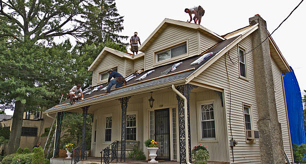 Best Roof Repair Services  in Hammond, WI